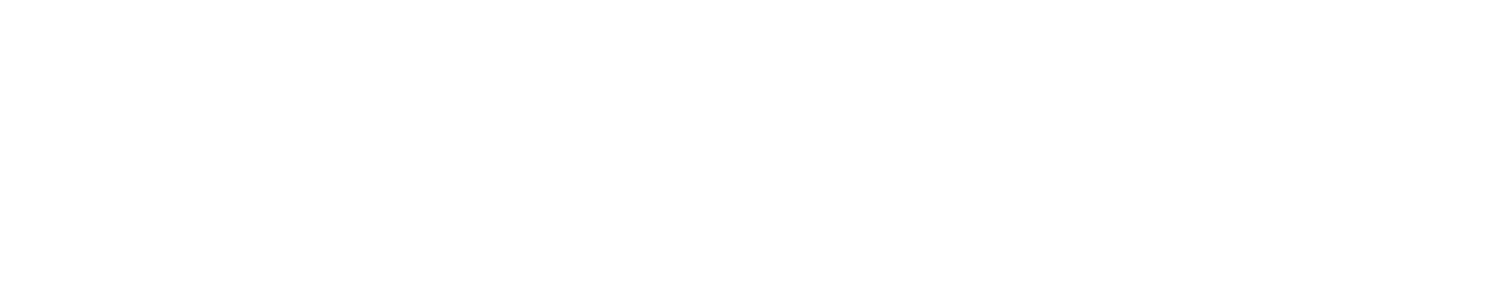 BrandTrace Logo