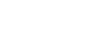NameBee Logo